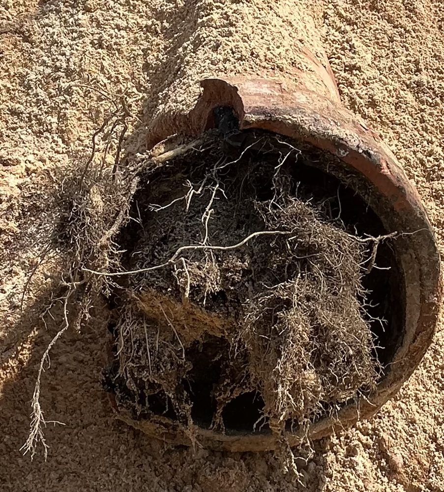 Slide of Elite Plumbing & Home Services