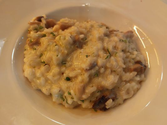 Serafina West 105 (UWS) by null