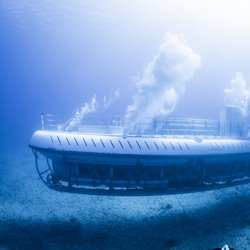 Atlantis Submarines Waikiki - Experience Our Waikiki submarine tour