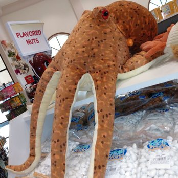 EddieWorld - Octopus wanted to come home with me. - Service Stations Near Me - Yermo, California
