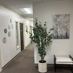 Brentwood Pelvic Health