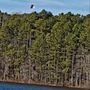 Photo of Lake Devin