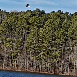Lake Devin