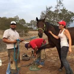 Triple L Horseshoeing