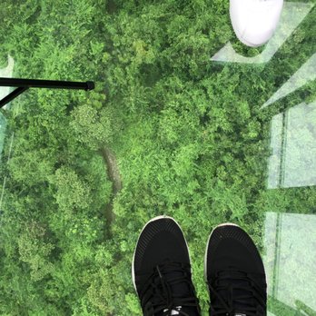 大嶼山 - Ngong Ping Gondola Glass Ride - Hiking Near Me - Hong Kong, HK