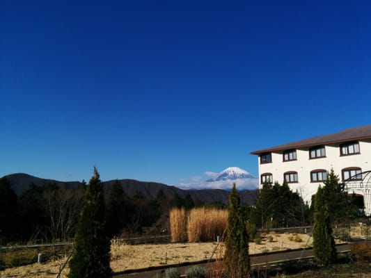 Hotel Green Plaza Hakone by null