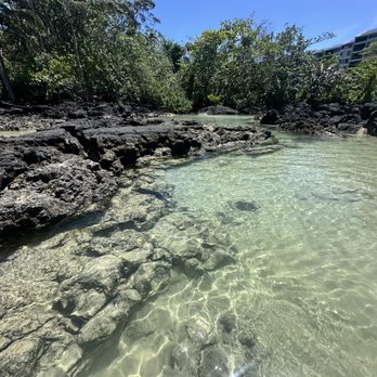 Carlsmith Beach Park - Tide pools - Parks Near Me - Hilo, Hawaii