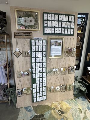 Scale House Market by null