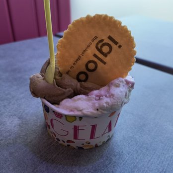 Igloo - Candy Stores Near Me - Camelon, FAL