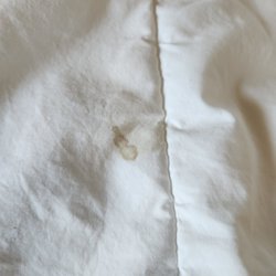Quality Suites - Bodily fluid on the bedding