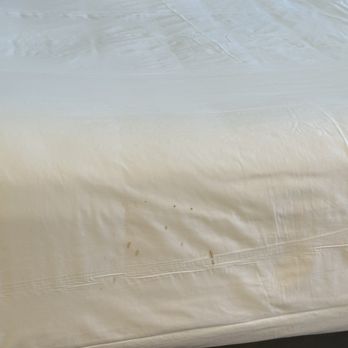 Flamingo Las Vegas - Not sure what this nasty crap is on bed. Looks like mold, some kind of liquid was spelled or someone farted out poop and it molded. - Hotels Near Me - Las Vegas, Nevada