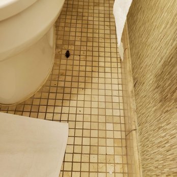 Bahia Resort Hotel - Cockroach found on the floor of the bathroom. - San Diego, CA