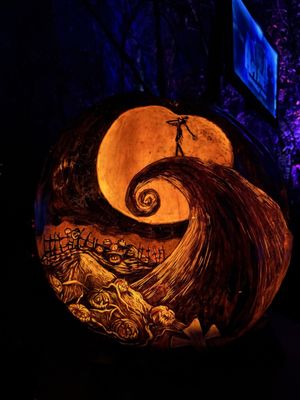 Minnesota Zoo by null