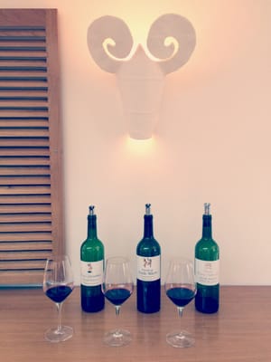 Château Mouton Rothschild by null