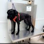 Photo of AVS Animal Hospital