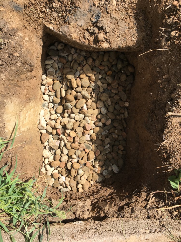 Slide of The Drain Check