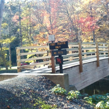 Ole Bull State Park - STS Trail in Ole Bull State Park. - Parks Near Me - Cross Fork, Pennsylvania
