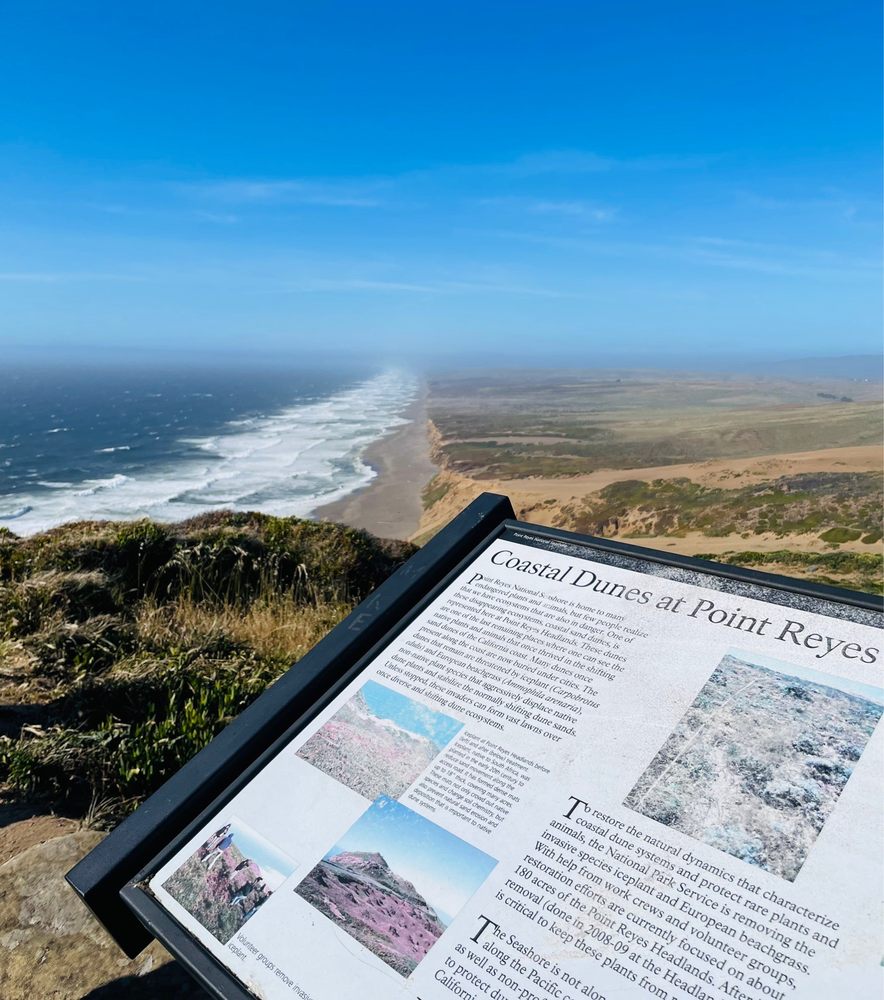 POINT REYES NATIONAL SEASHORE 1599 Photos & 391 Reviews 1 Bear