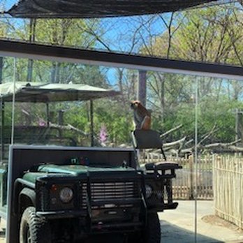 Zoo Gage Park - Zoos Near Me - Topeka, Kansas Zoo Gage Park - Zoos Near Me - Topeka, Kansas