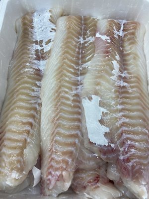 Avenue U Fish Market by null