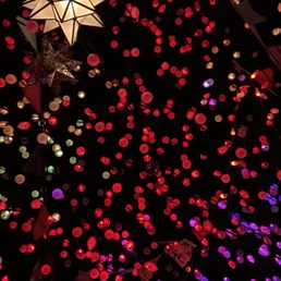 Lights