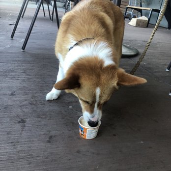 Mud Bay - Yummmmmmy! - Pet Stores Near Me - Mukilteo, Washington Mud Bay - Yummmmmmy! - Pet Stores Near Me - Mukilteo, Washington