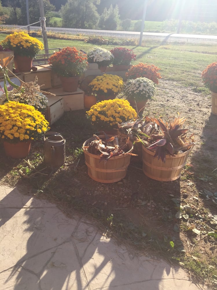 Boothby's Orchard And Farm - vineyard in Livermore, ME