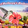 Chef Anthony's Ambrosia's