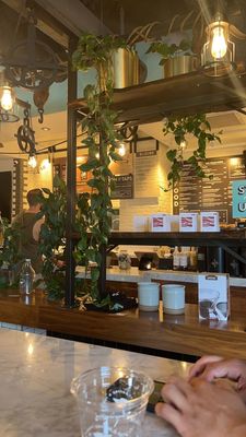 Fairgrounds Coffee and Tea by null