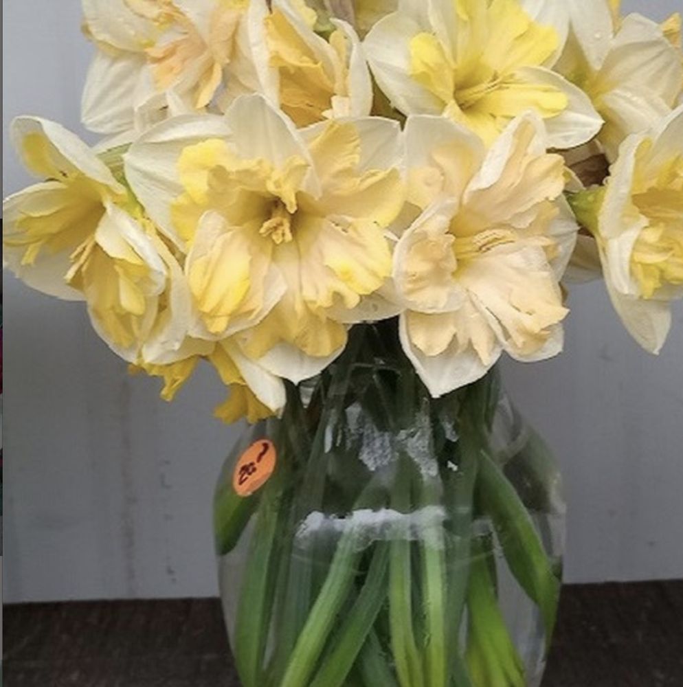 FEDERAL HILL FARM 16 Photos 58 Federal St, Alfred, Maine Florists