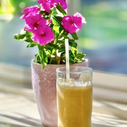 Tierra Mia Coffee - #YelpElite #Yelp #coffee