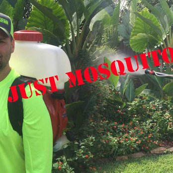 Mosquito Scott Pest Control - Mosquito Scott Pest Control - Not Just Mosquitoes... - Pest Control Near Me Mosquito Scott Pest Control - Mosquito Scott Pest Control - Not Just Mosquitoes... - Pest Control Near Me