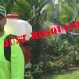 Photo of Mosquito Scott Pest Control