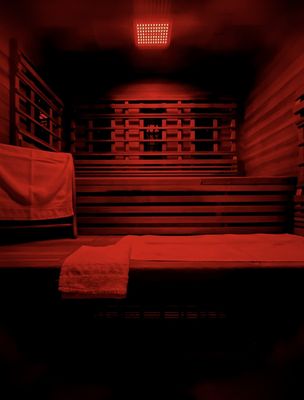 Health Mate Infrared Sauna by null