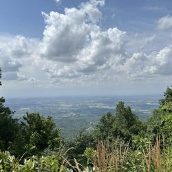 Blackberry Mountain