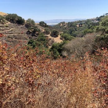 Big Canyon Park - Views - Parks Near Me - San Carlos, California Big Canyon Park - Views - Parks Near Me - San Carlos, California