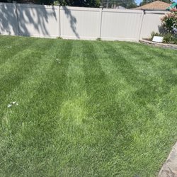 Emerald Rich Lawns - Back to emerald green thank you!!