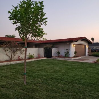 Paradise Lawns - Front yard with new sod - Lawn Services Near Me Paradise Lawns - Front yard with new sod - Lawn Services Near Me