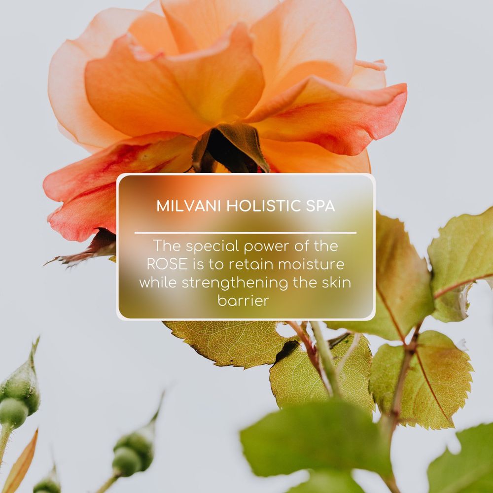 Milvani Holistic Spa Logo