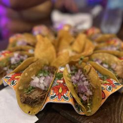 XOLO Taco