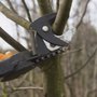 Photo of Professional Tree Service