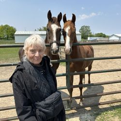 Moctezuma Stables