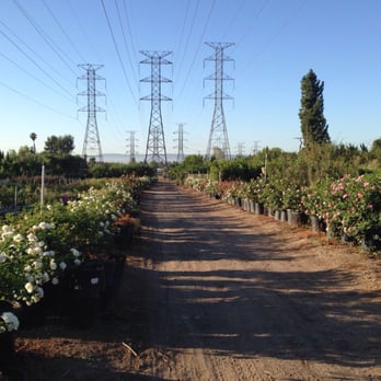 Saticoy Nursery - Nurseries & Gardening Near Me - Granada Hills, California Saticoy Nursery - Nurseries & Gardening Near Me - Granada Hills, California