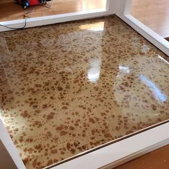 Euro Restorations - Euro Restorations | Painting | Drywall | Water Damage | Resurfacing - Painters Near Me - Sarasota, Florida Euro Restorations - Euro Restorations | Painting | Drywall | Water Damage | Resurfacing - Painters Near Me - Sarasota, Florida