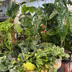 Happy Home Garden