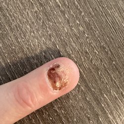 Em Nail Lounge
