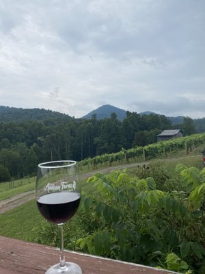 Addison Farms Vineyard by null