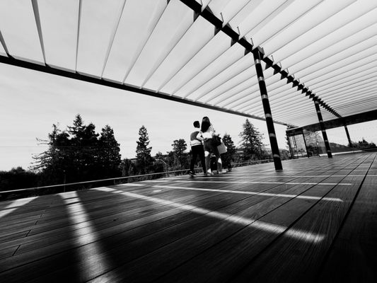 Apple Apple Park Visitor Center by null