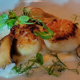 Seared Scallops