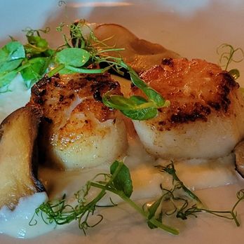 Little Blackbird - Seared scallops - Wine Bars Near Me - Washington, DC, District of Columbia Little Blackbird - Seared scallops - Wine Bars Near Me - Washington, DC, District of Columbia